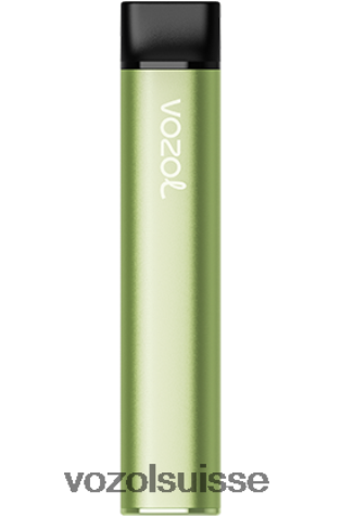 VOZOL Vape Suisse - VOZOL SWITCH 600 RD4TL2223 menthe fraîche