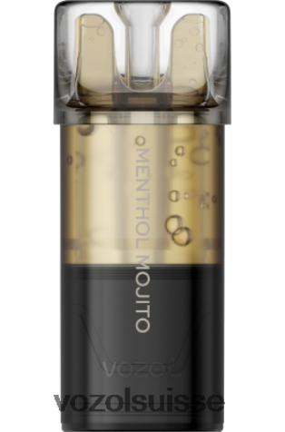 VOZOL Berne - VOZOL SWITCH pro RD4TL2202 mojito mentholé