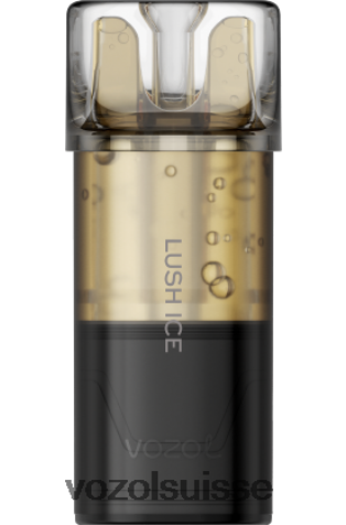 VOZOL Suisse - VOZOL SWITCH pro RD4TL2181 glace luxuriante