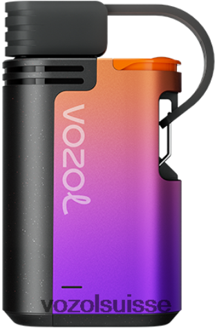VOZOL Rechargeable - VOZOL GEAR 4000c/6000 RD4TL2325 glace aux raisins
