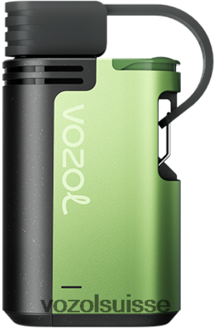 VOZOL Review - VOZOL GEAR 4000c/6000 RD4TL2329 glace à la pastèque