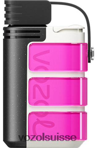 VOZOL Vape Price - VOZOL GEAR 4000c/6000 RD4TL2320 rose