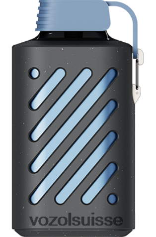 VOZOL Rechargeable - VOZOL GEAR 10000 RD4TL2285 citron bleu razz
