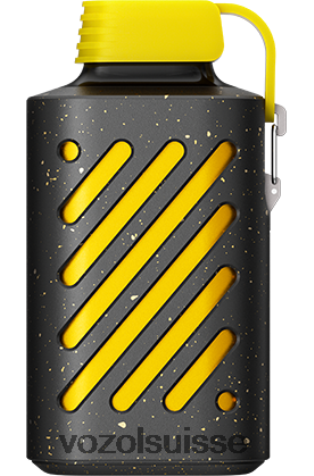 VOZOL Rechargeable - VOZOL GEAR 10000 RD4TL2295 kiwi fruit de la passion goyave