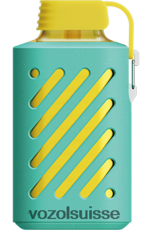VOZOL Review - VOZOL GEAR 10000 RD4TL2289 double pomme