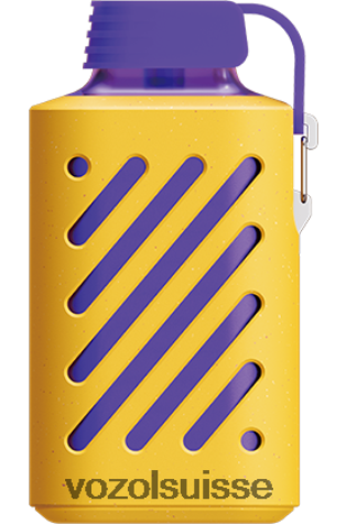 VOZOL Review - VOZOL GEAR 10000 RD4TL2299 Baies mélangées