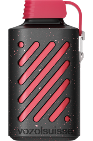 VOZOL Review - VOZOL GEAR 10000 RD4TL2309 fraise framboise