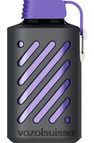 VOZOL Suisse - VOZOL GEAR 10000 RD4TL2291 tempête de baies forestières