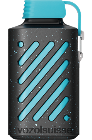 VOZOL Vape Avis - VOZOL GEAR 10000 RD4TL2284 glace bleue