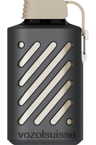 VOZOL Vape Sale - VOZOL GEAR 10000 RD4TL2288 tabac à la crème