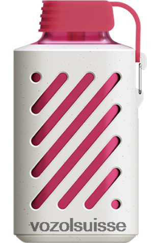 VOZOL Vape Shop - VOZOL GEAR 10000 RD4TL2287 barbe à papa