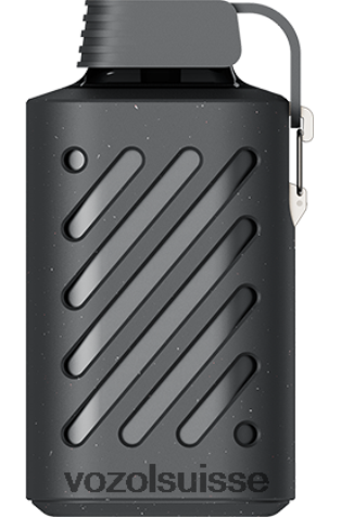 VOZOL Vape Store - VOZOL GEAR 10000 RD4TL2286 baies de cèdre