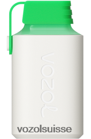 VOZOL Berne - VOZOL GEAR 600 RD4TL2352 mojito au citron