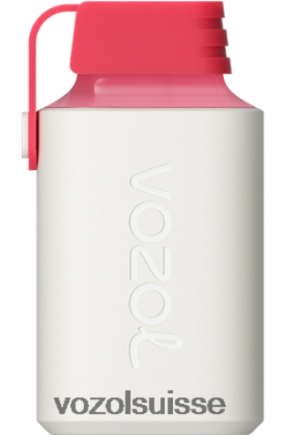 VOZOL Berne - VOZOL GEAR 600 RD4TL2362 glace aux cerises