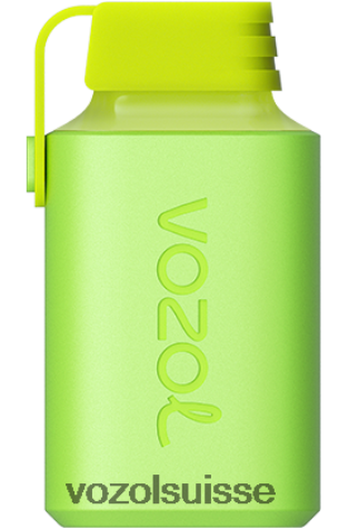 VOZOL Rechargeable - VOZOL GEAR 600 RD4TL2345 pêche aux pommes