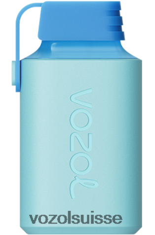 VOZOL Rechargeable - VOZOL GEAR 600 RD4TL2355 monsieur bleu