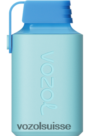 VOZOL Suisse - VOZOL GEAR 600 RD4TL2361 glace aux myrtilles