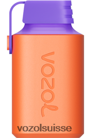 VOZOL Vape Price - VOZOL GEAR 600 RD4TL2360 glace aux mûres