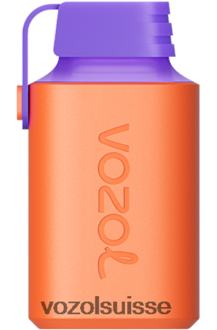 VOZOL Vape Sale - VOZOL GEAR 600 RD4TL2348 glace aux raisins et aux canneberges