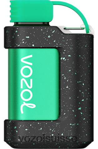 VOZOL Berne - VOZOL GEAR 7000 RD4TL2332 menthe fraîche