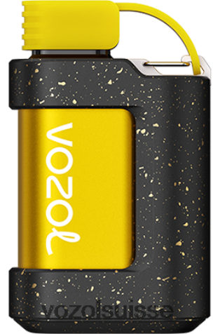 VOZOL Vape Shop - VOZOL GEAR 7000 RD4TL2337 glace à la pêche