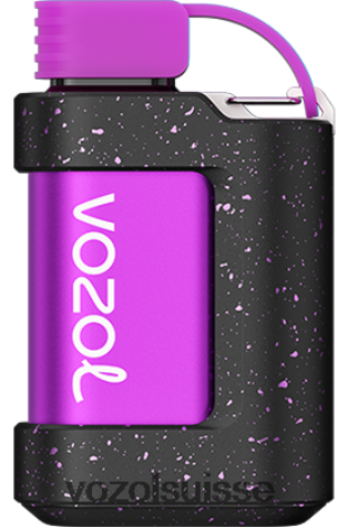 VOZOL Vape Suisse - VOZOL GEAR 7000 RD4TL2333 tempête de baies forestières
