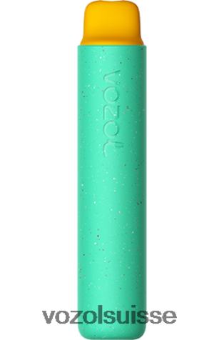 VOZOL Rechargeable - VOZOL STAR 2000 RD4TL2155 ours gommeux