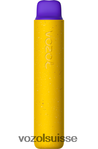 glace à la mangue