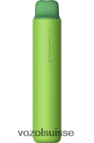 VOZOL Vape Sale - VOZOL STAR 2000 RD4TL2158 glace luxuriante