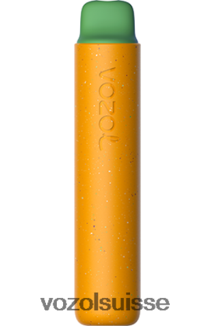 VOZOL Vape Store - VOZOL STAR 2000 RD4TL2156 oiseau de la jungle
