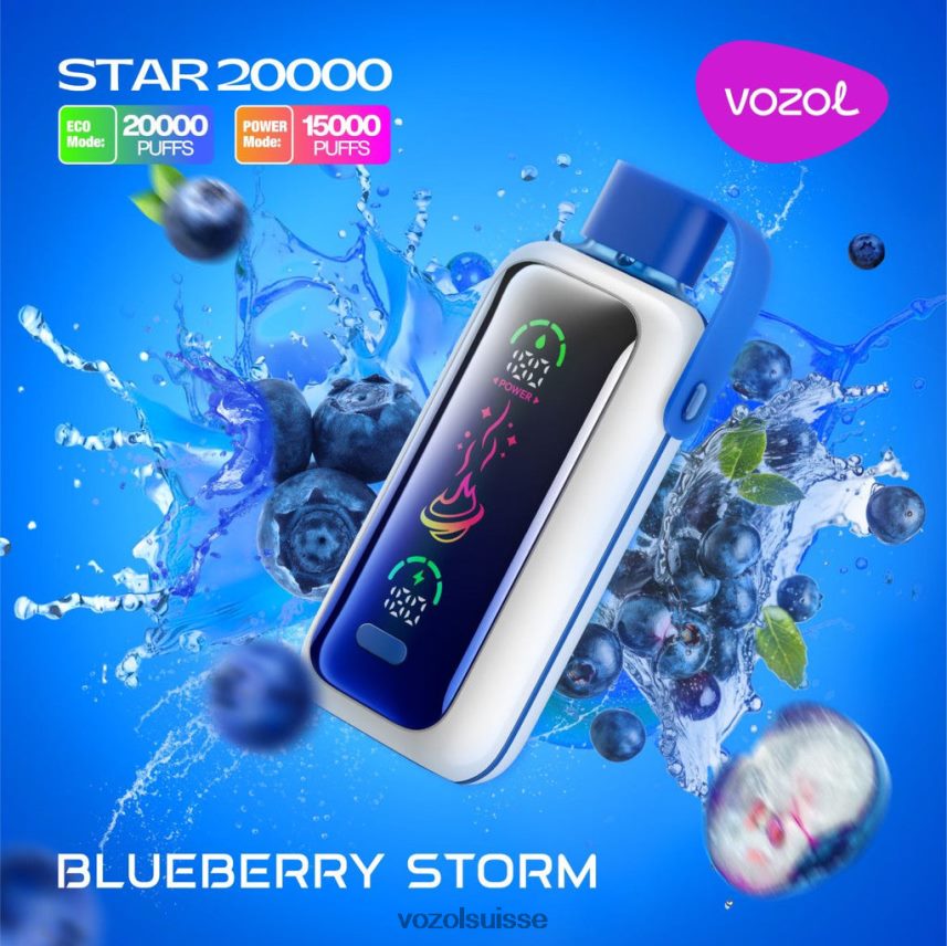 VOZOL STAR 20000 L2028H5 tempête de bleuets Vozol Rechargeable