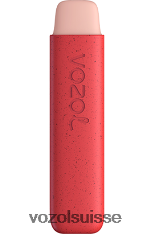 VOZOL Rechargeable - VOZOL STAR 550 RD4TL2145 glace à la fraise