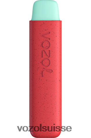 VOZOL Vape Sale - VOZOL STAR 550 RD4TL2138 pêche aux pommes