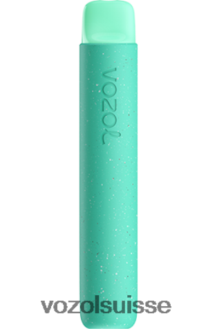 VOZOL Review - VOZOL STAR 600 RD4TL299 punch tropical
