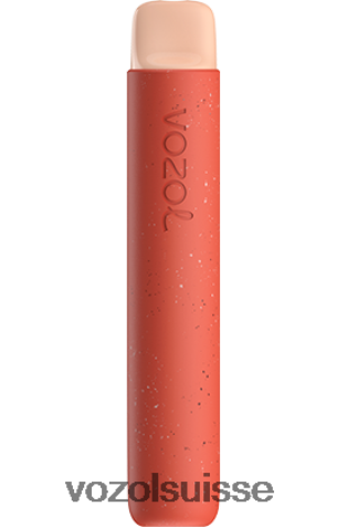VOZOL Suisse - VOZOL STAR 600 RD4TL271 pêche aux pommes