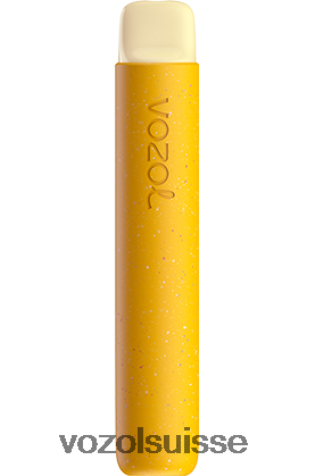 VOZOL Vape Avis - VOZOL STAR 600 RD4TL284 citron kiwi fruit de la passion