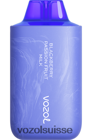 VOZOL Berne - VOZOL STAR 6000/8000v2 RD4TL252 lait de mûre et de fruit de la passion