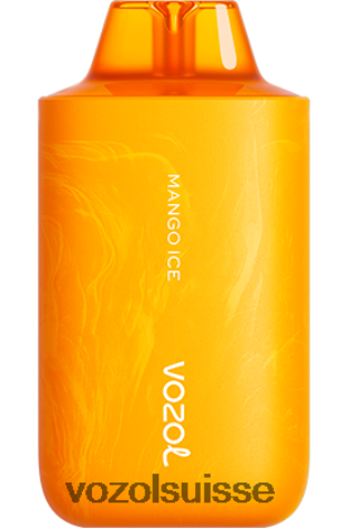 VOZOL Berne - VOZOL STAR 6000/8000v2 RD4TL262 glace à la mangue
