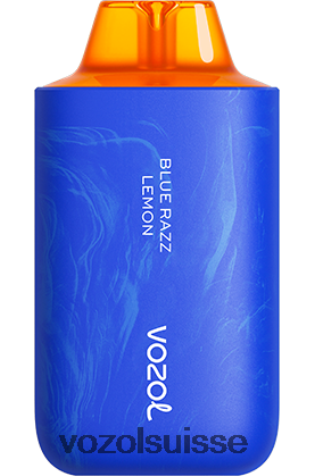 VOZOL Rechargeable - VOZOL STAR 6000/8000v2 RD4TL255 citron bleu razz