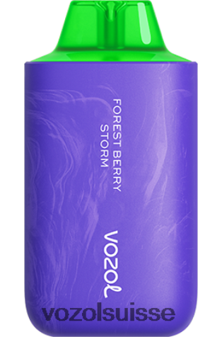 VOZOL Review - VOZOL STAR 6000/8000v2 RD4TL259 tempête de baies forestières