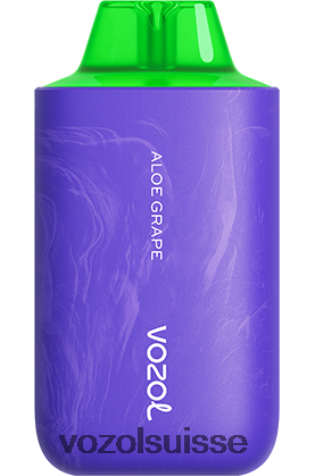 VOZOL Vape Avis - VOZOL STAR 6000/8000v2 RD4TL254 raisin d'aloès