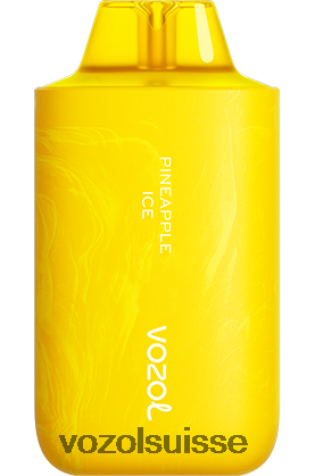 VOZOL Vape Avis - VOZOL STAR 6000/8000v2 RD4TL264 glace à l'ananas