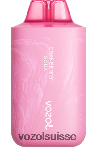 VOZOL Vape Sale - VOZOL STAR 6000/8000v2 RD4TL258 soda aux canneberges