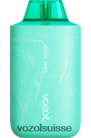 VOZOL Vape Shop - VOZOL STAR 6000/8000v2 RD4TL257 menthe fraîche