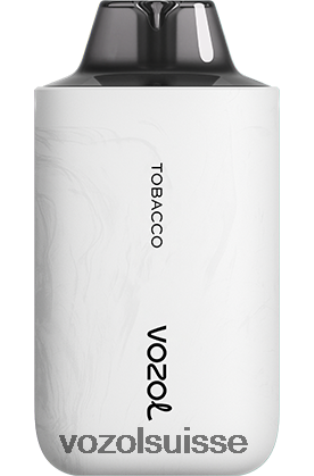 VOZOL Vape Shop - VOZOL STAR 6000/8000v2 RD4TL267 le tabac