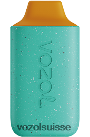 VOZOL Berne - VOZOL STAR 6000 RD4TL2102 pomelo de cèdre