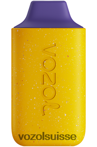 VOZOL Rechargeable - VOZOL STAR 6000 RD4TL2105 lait de mûre et de fruit de la passion