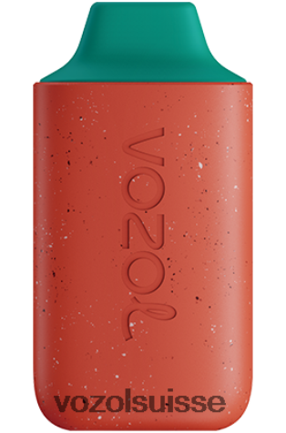 VOZOL Suisse - VOZOL STAR 6000 RD4TL2111 pastèque fruit du dragon