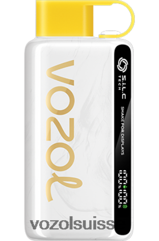 VOZOL Rechargeable - VOZOL STAR 9000/12000 RD4TL225 kiwi fruit de la passion goyave