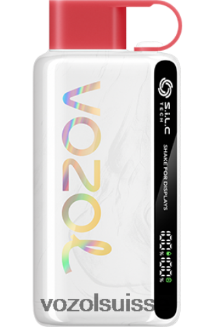 VOZOL Rechargeable - VOZOL STAR 9000/12000 RD4TL235 glace à la pastèque